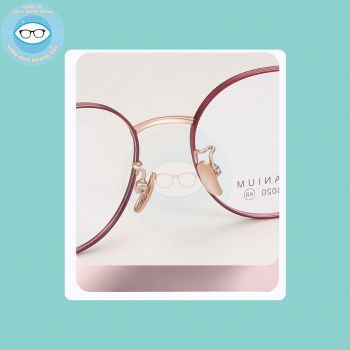 gọng kim loại mã 6020